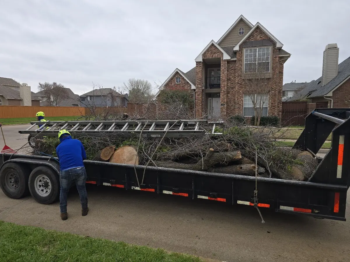 Expert Tree Fertilization with proper safety equipment in Oneco